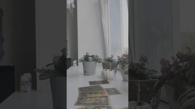 Сфера вашей деятельности..