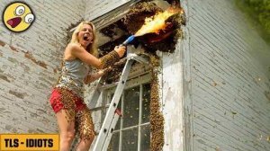 (NEW!) TLS - TOTAL IDIOTS AT WORK #86 💥