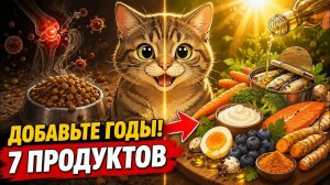 Добавьте ЭТО в миску кошки, чтобы она жила на 5 лет дольше! (Совет врача)