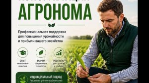 Консультация агронома — профессиональная помощь для здоровых растений и высокого урожая