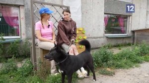 Лапа помощи: Сажа и Герда