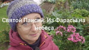 Видео привет с 6 соток 14 августа 2026 года