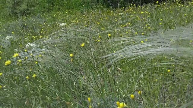 Весна Природа 20260504