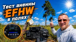 Антенна EFHW в полевых условиях