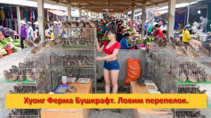 Хуонг Ферма Бушкрафт. Вьетнам. Ловим перепелок на продажу.