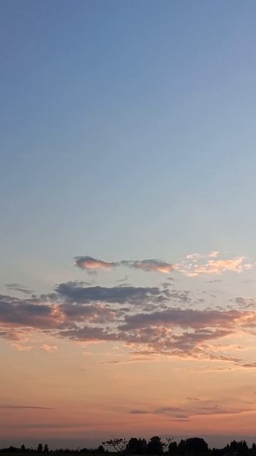 Закат в поле, небо, пение птиц, звуки и красота природы, лето.