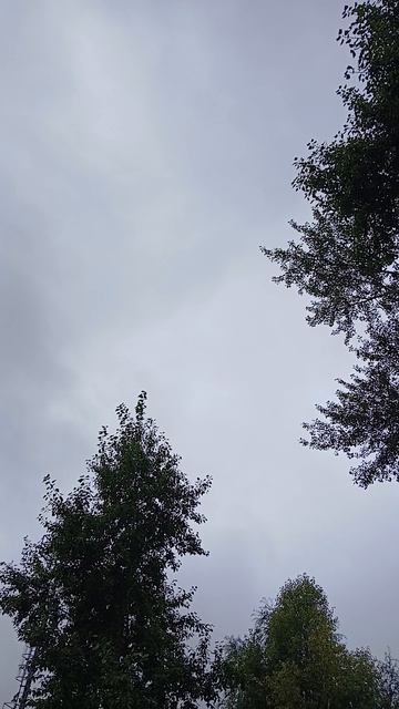 Остановите ЛЕТО!!!