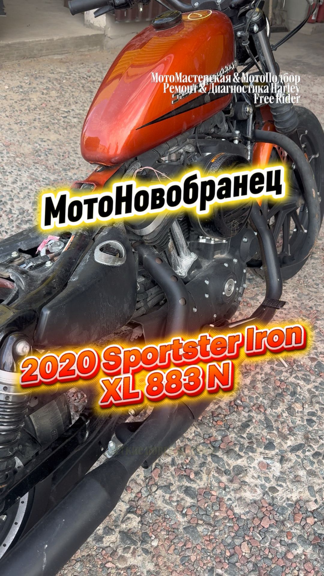 МотоНовобранец 2020 Harley Sportster XL 883 N IRON