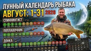Прогноз клева на август 2026 по дням календарь рыболова для поплавка, фидера и спиннинга