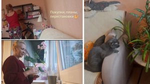 Покупки, планы и перестановки🧺 Установили спортивный уголок 🤸