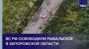 ВС РФ освободили Рыбальское в Запорожской области