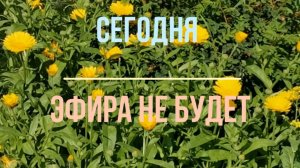 15.08.2026 эфира не будет