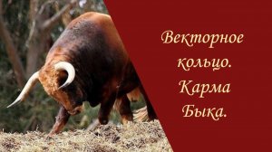Векторное кольцо. Карма Быка.
