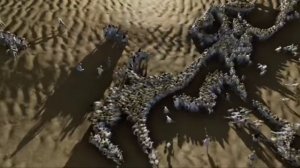 Emergence