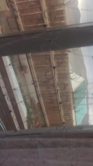 влог вичерни моё