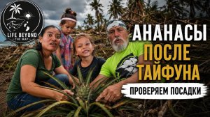 ИСХОД РУССКИХ МУЖИКОВ В ДЖУНГЛИ. Мы не ожидали увидеть ТАКОЕ… Джунгли изменились до неузнаваемости