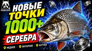 🤑 ТОП-3 ТОЧКИ ФАРМА и РАЗДАЧИ ТРОФОВ РР4 (15.08)! СВОДКА по ВОДОЕМАМ! МЕДНОЕ • ЯНТАРНОЕ • АХТУБА