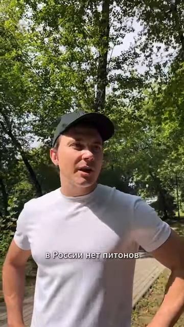 Дубровин