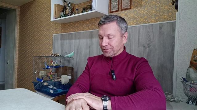 КОГО ВЫБРАТЬ РЕБЁНКУ: КОШКУ, СОБАКУ ИЛИ ПОПУГАЯ?