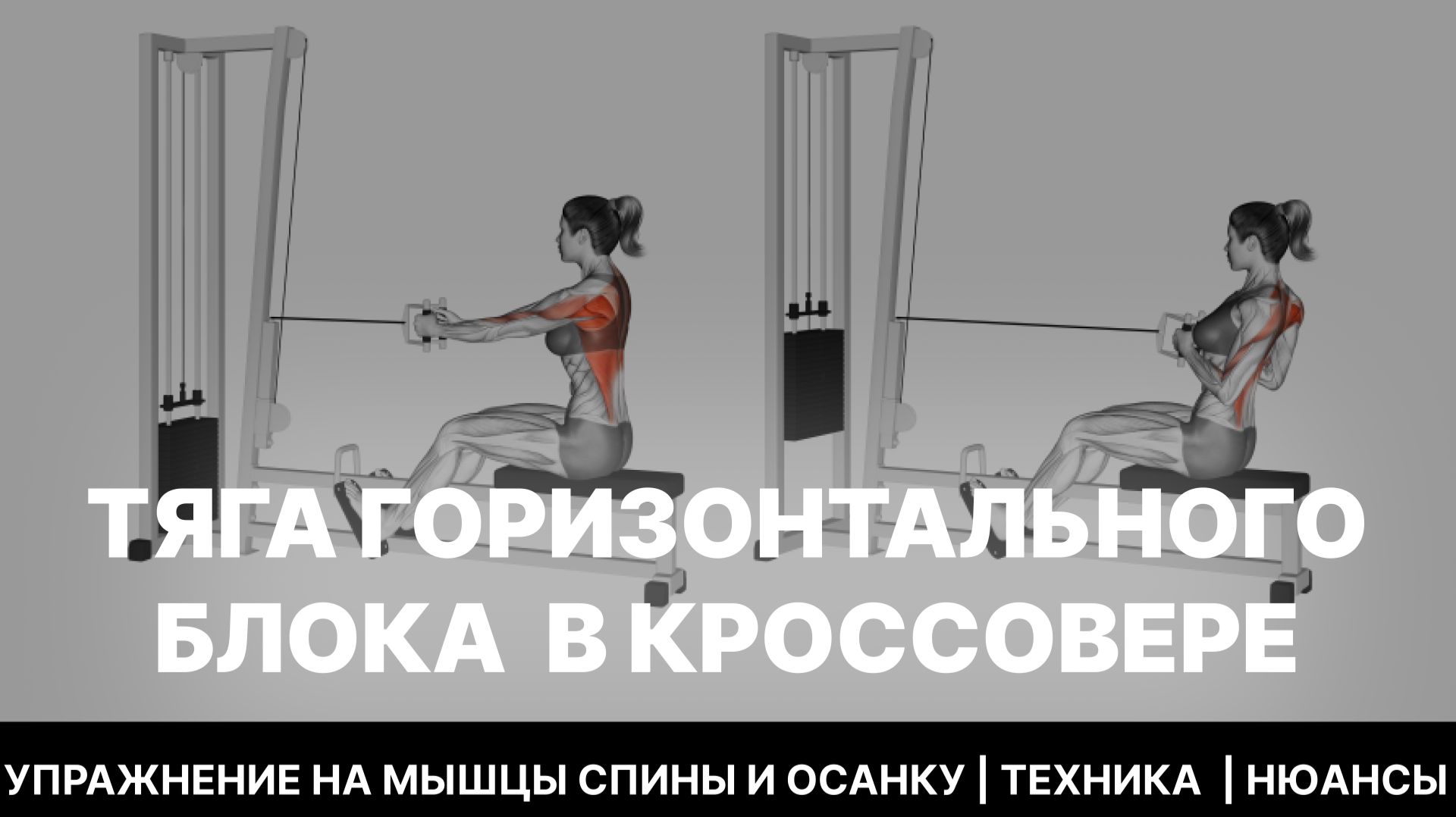 Программы тренировок