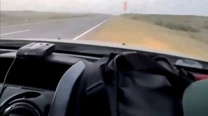 Море саранчи на трассе в Дагестане