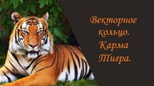 Векторное кольцо. Карма Тигра.