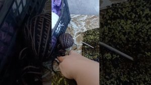 СП Второе дыхание. Отчет за август 26. Участник 12