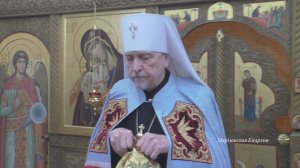 О выборе помощника для человека