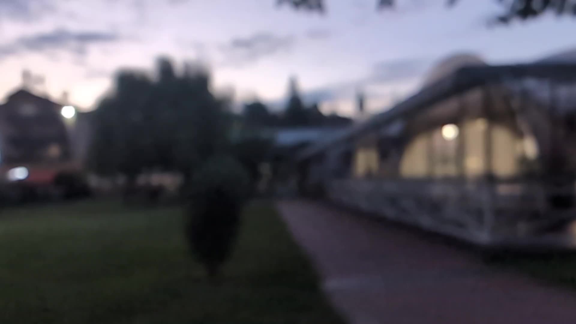 Лазаревское 15.08.2026 Дивное | ресторан