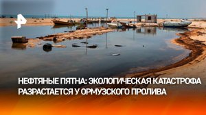 Противостояние США и Ирана грозит экологической катастрофой в Ормузском проливе