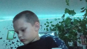 Обзор