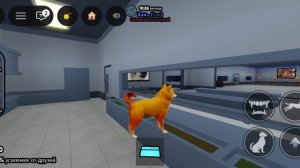 Роблокс (Roblox) В укради брейнротов(9)