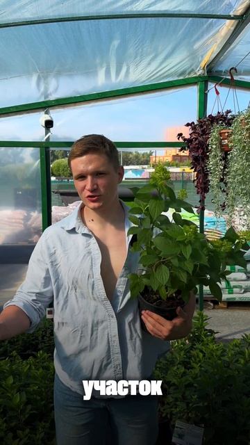 Сохрани, пригодится 🙊