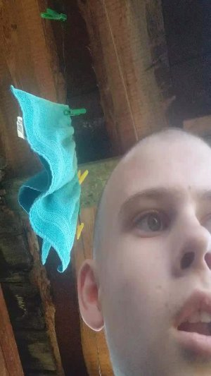 дома