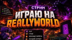 Играю на Reallyworld!