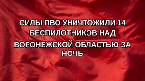 Силы ПВО уничтожили 14 беспилотников над Воронежской областью за ночь
