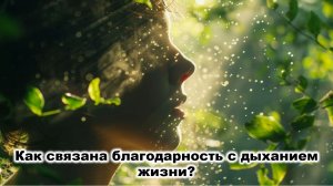 Как связана благодарность с дыханием жизни.