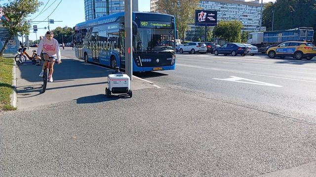 Яндекс победил