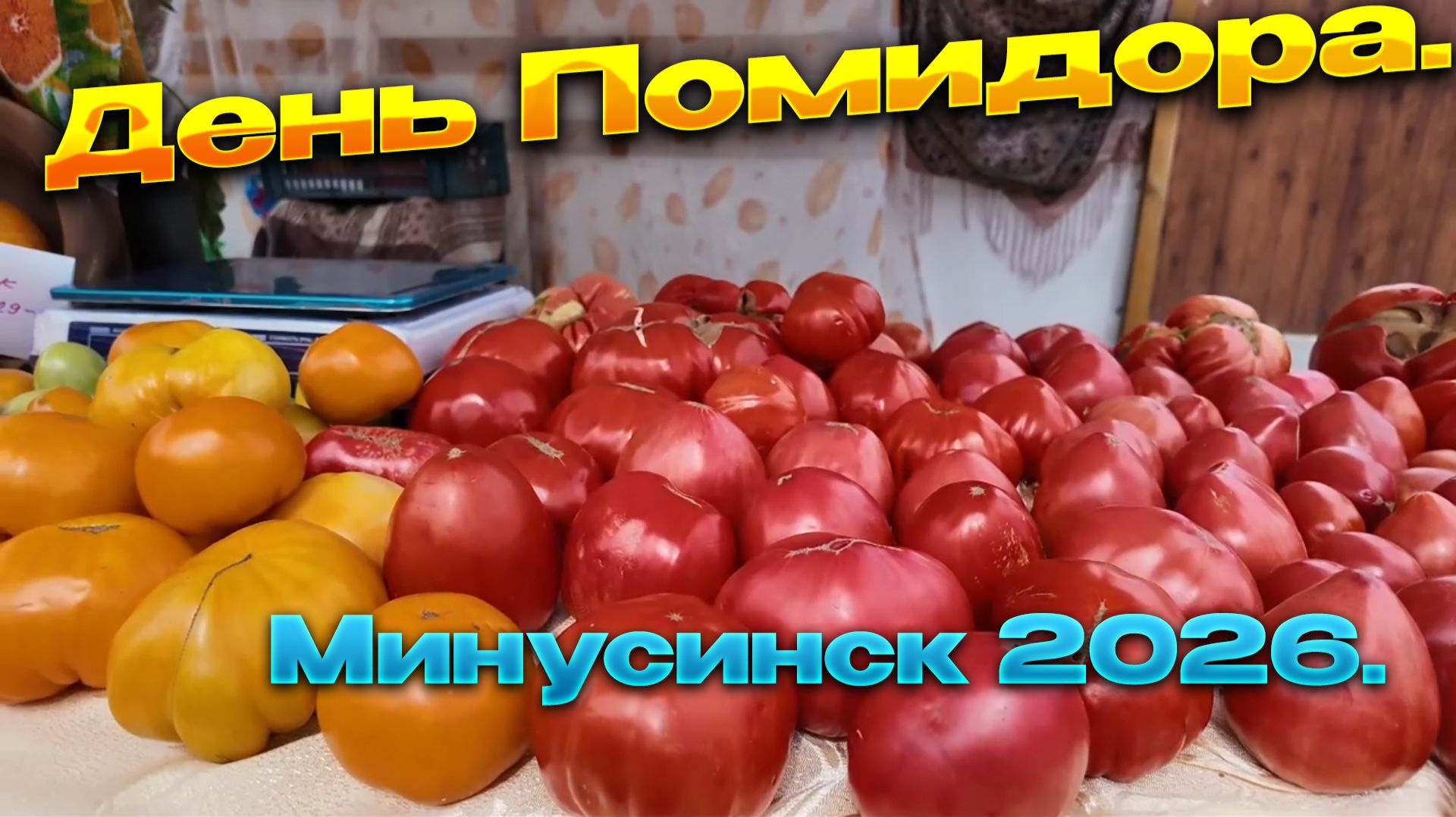 🍅День Помидора/Минусинск.2026.🍅Праздник глазами туриста.