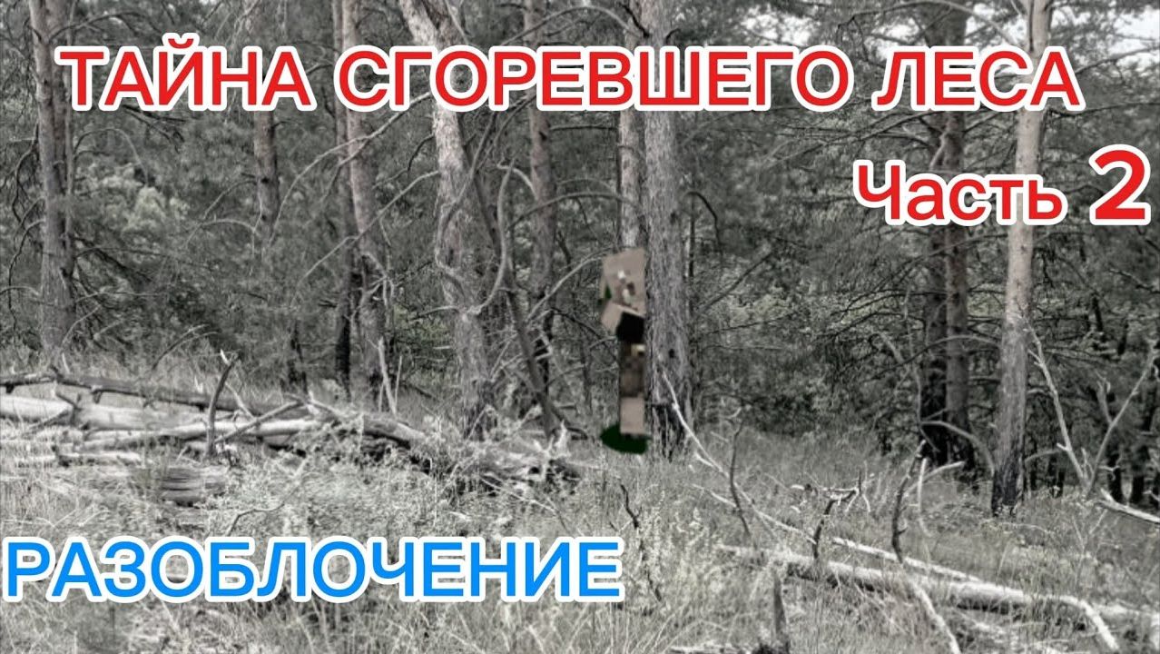 ТАЙНА ПОЖАРА В ЛЕСУ У ДЕРЕВНИ 