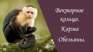 Векторное кольцо. Карма Обезьяны.