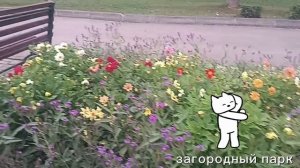 **Я ИСКАЛ ТЕБЯ ВСЮ ЖИЗНЬ И НАШЁЛ**ПРИГЛАШАЮ ВАС В ЗАГОРОДНЫЙ ПАРК. . ТУТ ТАК ЗДОРОВО👍😎. ГУЛЯЕМ....