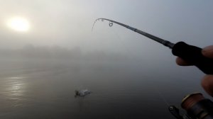 Поклёвки щуки в жутком Тумане