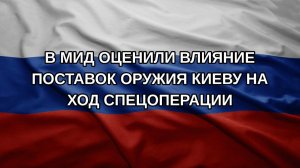 В МИД оценили влияние поставок оружия Киеву на ход спецоперации