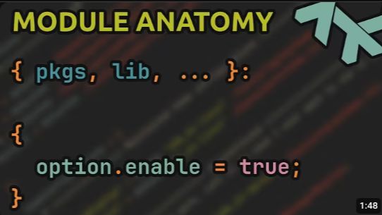 NIXBITS NixOS Module Anatomy