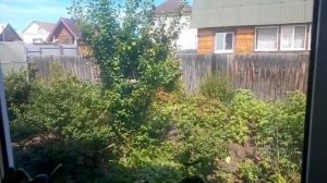 МОЙ ЗАГОРОДНЫЙ ДОМ 🏡 13.08.2026/ДЕЛАЮ КАБАЧКОВУЮ ИКРУ/ПЕРСИК В СОЛНЫШКЕ