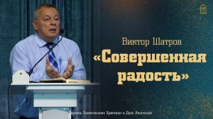 Виктор Шатров - «Совершенная радость»