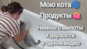 Мою кота 🐱Продуктовые покупки👛Новый маникюр💅Я сегодня дерзкая😎Без обид ✌