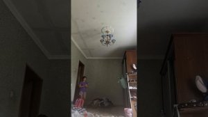 видео про Реборна