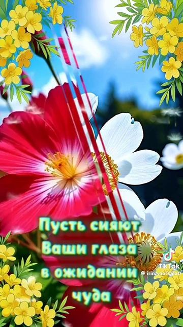 Самых счастливых событий